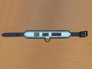 Leather collar „CTRL ME PLS“ with keys